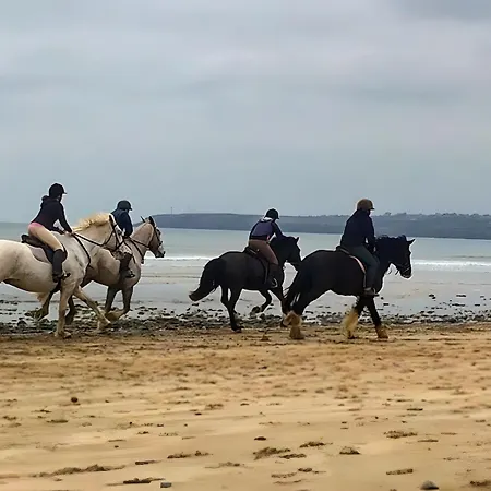 Charming Beachfront Apartments, Sea Views In