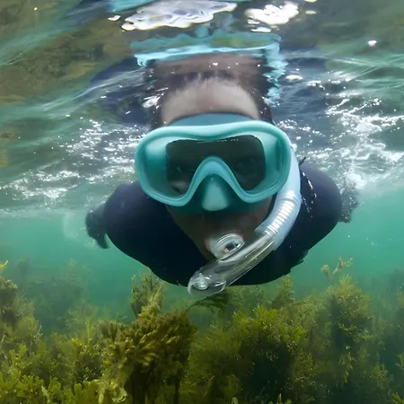 Charming Beachfront Apartments, Sea Views In