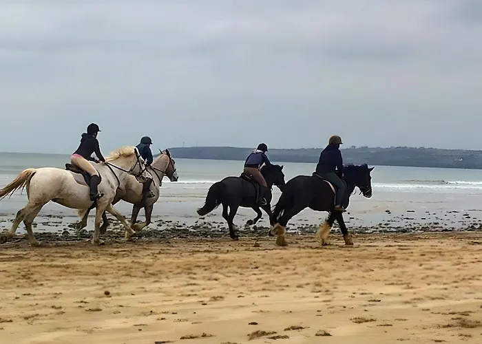 Charming Beachfront Apartments, Sea Views In