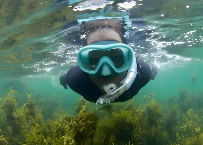 Charming Beachfront Apartments, Sea Views In